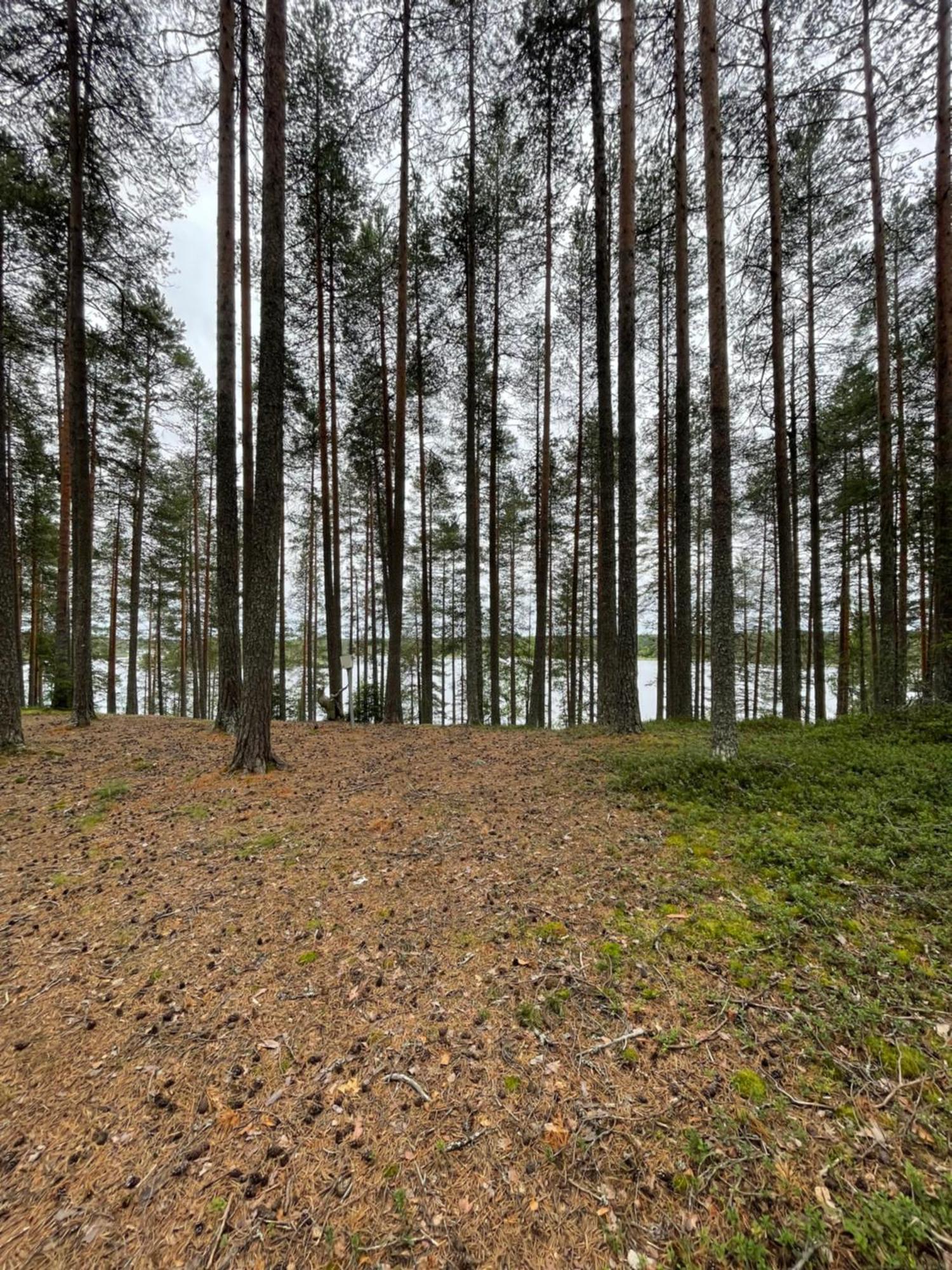 Laahtanen Camping Ristijärvi Εξωτερικό φωτογραφία