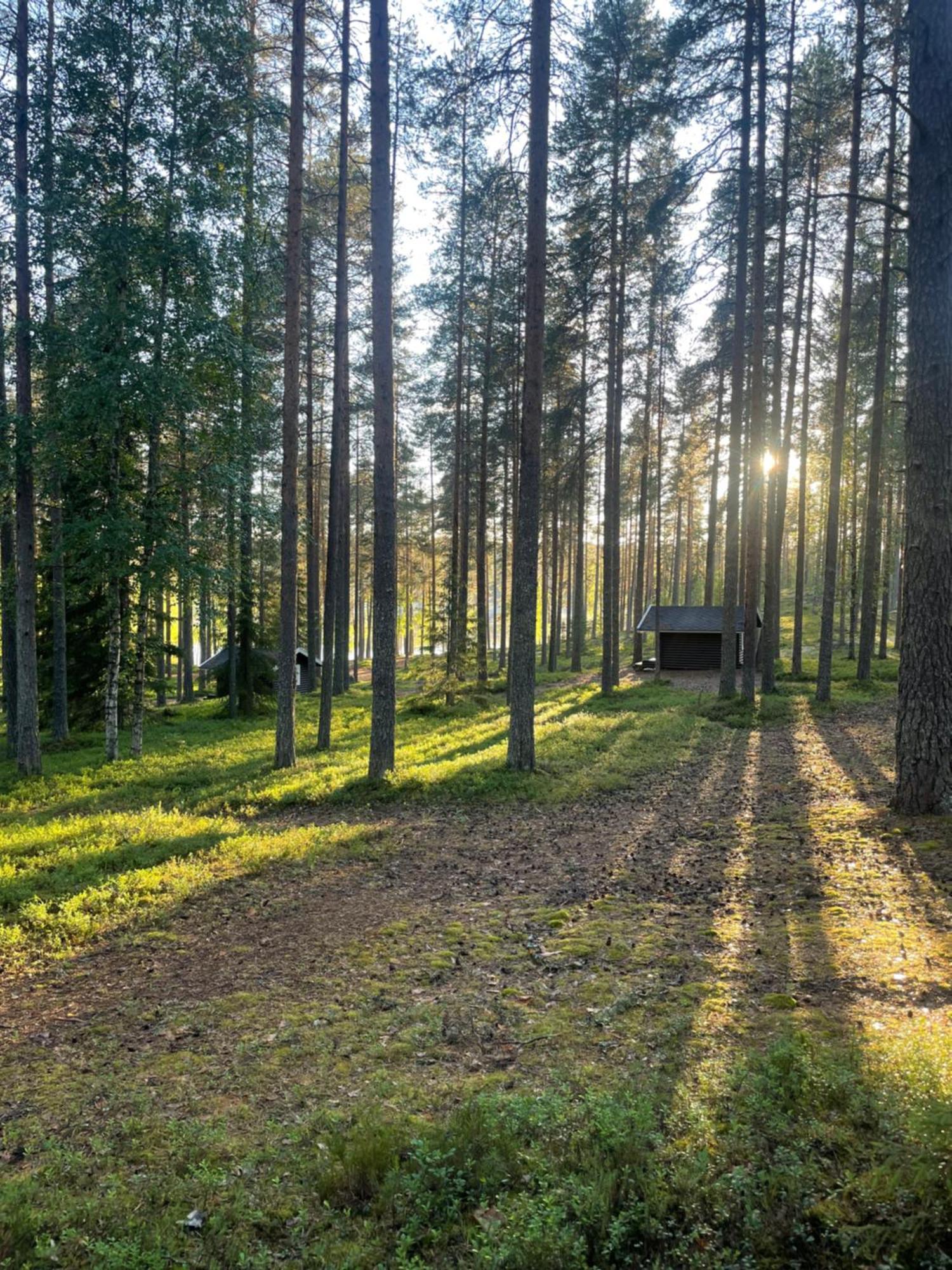 Laahtanen Camping Ristijärvi Εξωτερικό φωτογραφία