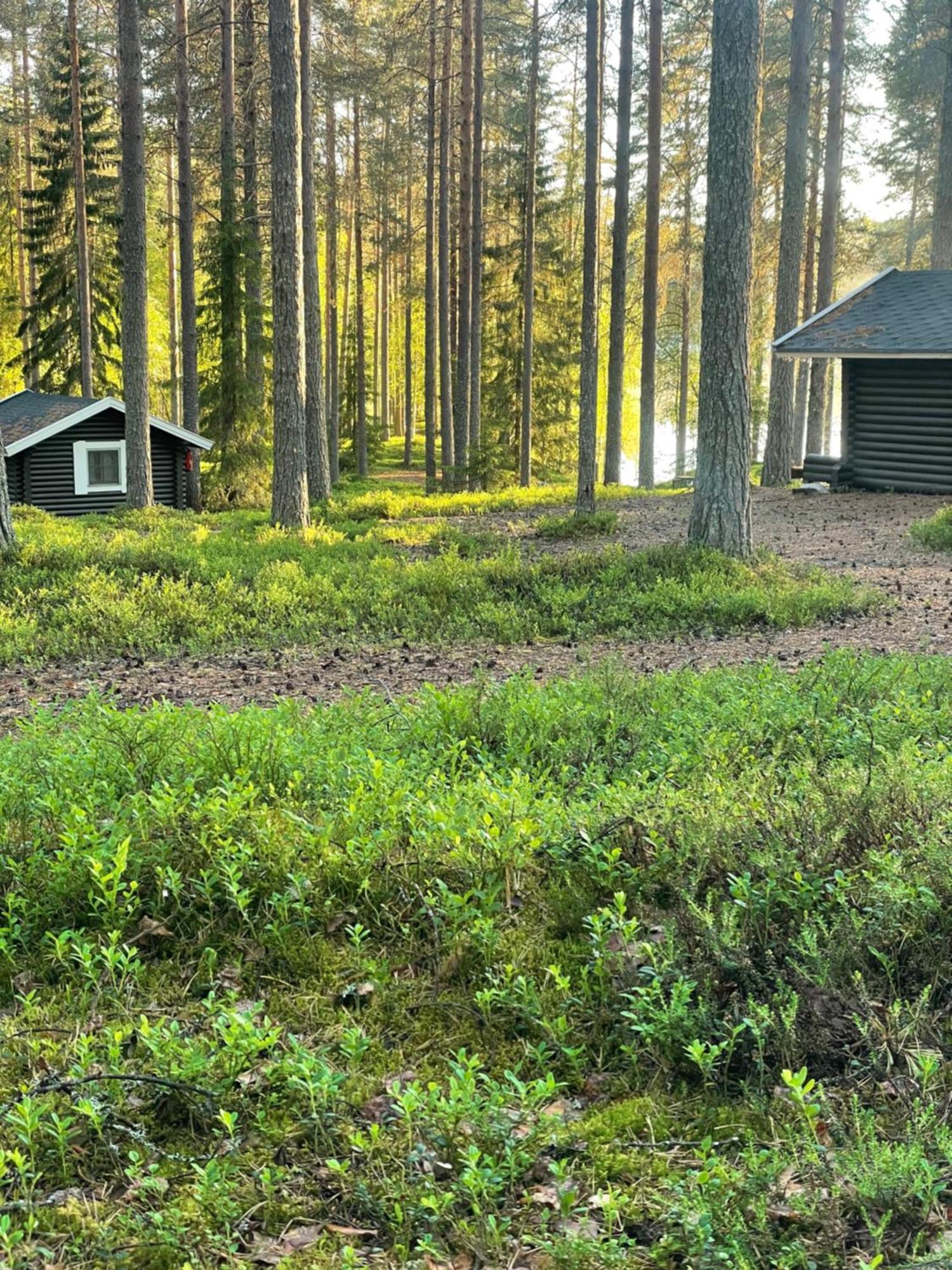 Laahtanen Camping Ristijärvi Εξωτερικό φωτογραφία