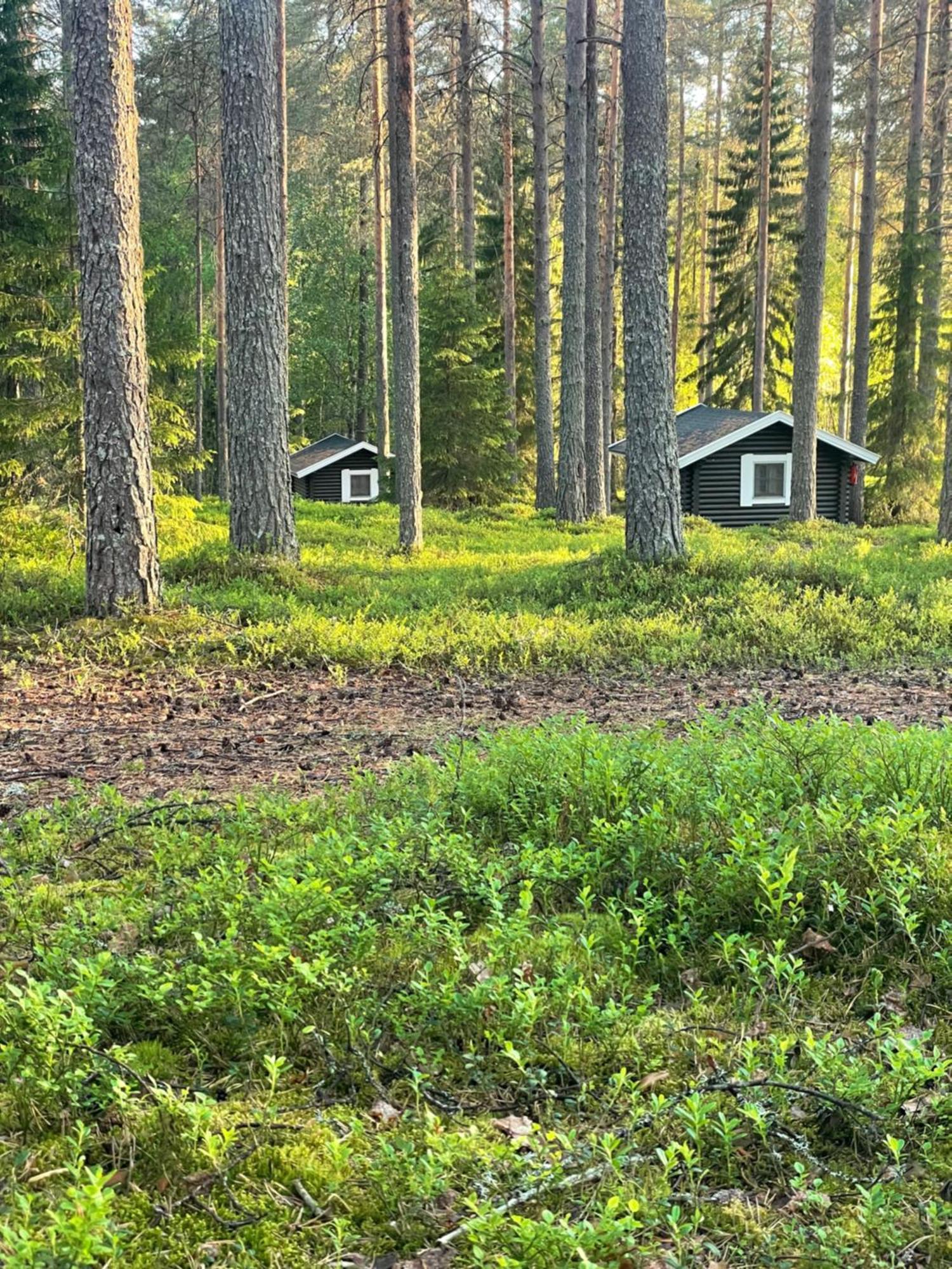 Laahtanen Camping Ristijärvi Εξωτερικό φωτογραφία